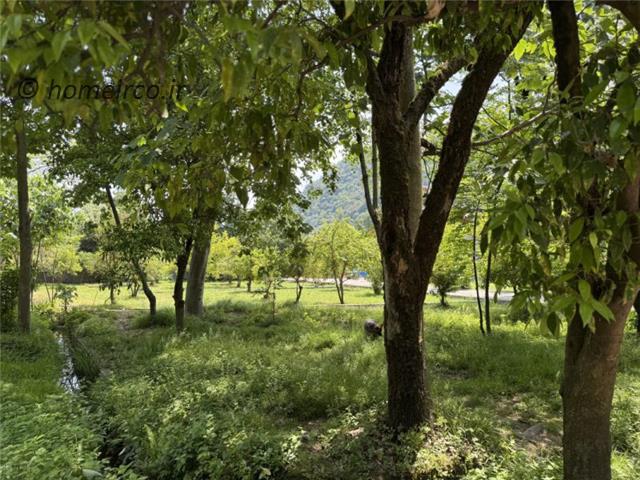 خرید زمین شهرک جنگلی سروستان بندپی نوشهر